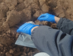 �����z�y(c��)